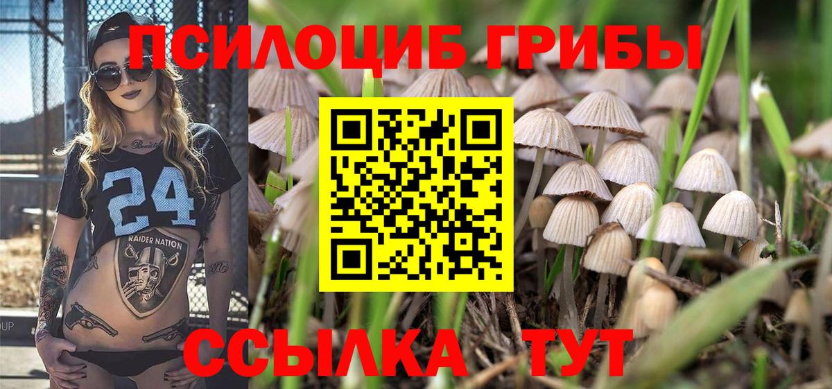 Сыктывкар  Псилоцибиновые грибы Cubensis  Псилоцибиновые грибы Psilocybe  Вход с VPN 
