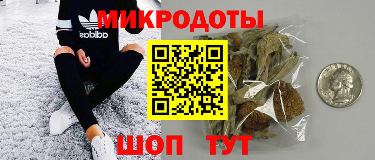 Псилоцибиновые грибы Psilocybe Сыктывкар